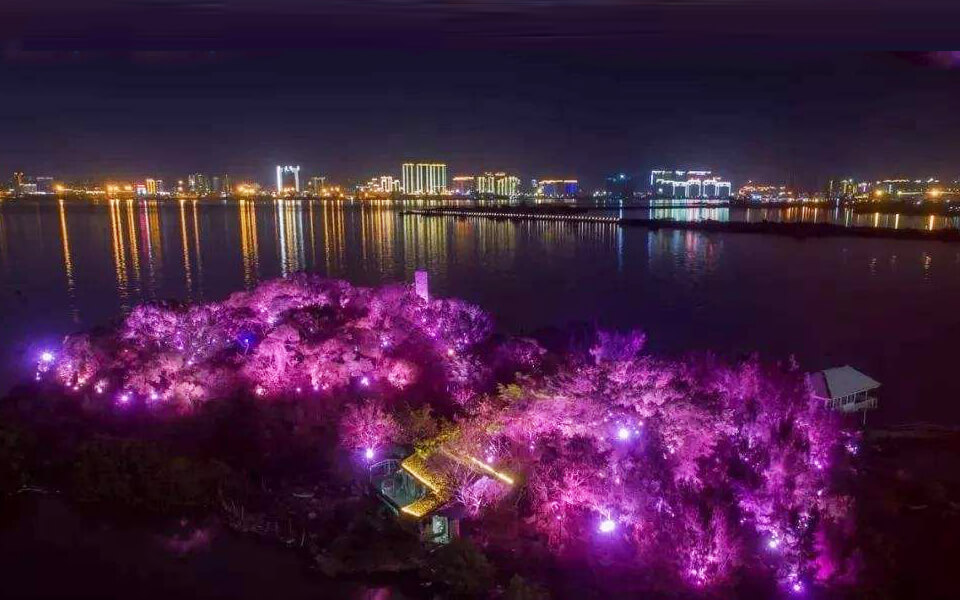 “礐石风景区亮化,旅游亮化,景观亮化,照树灯具,”/